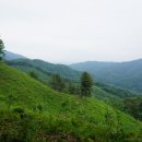 문막초 취병분교장 이미지