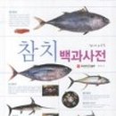 사이꼬참치