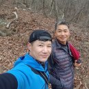 사라락