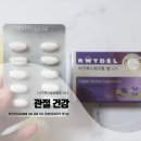 비즈왁스알코올셀 100 관절 건강 프로테오글리칸 챙겨요