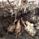 바람결에-해빙 이미지