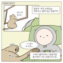 캣타워 없이 창문으로 바깥 구경하는 고양이 ｜ manhwa 이미지