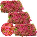 주식회사 엠디클러스터 이미지