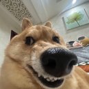 안녕하세요 이미지