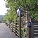 11월25일(화) 경남 밀양 산성산 / 용두산 생태공원 트레킹 안내방 이미지