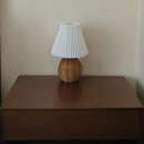 대영헬스클럽 | (횡성 빌리지) 흰 눈이 내려서 더 멋진 횡성 알프스 대영 빌리지