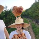 이순석농장 이미지