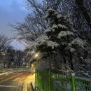 강남대로95길 68 | 2026-02