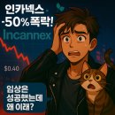 (주)로얄트레이딩 | 인카넥스 헬스케어 주가 – 임상 성공 후 폭락,반등가능성은?