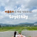 스테이 소예 | 경주 독채 가족 숙소 실내 수영장 있는 소예스테이