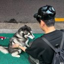 쓰담쓰담 이미지