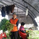 육동권역 행복마을 농촌체험휴양마을 이미지