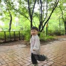 해오름1 Daum카페