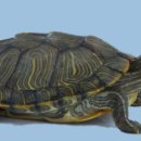 김현준외과의원 이미지