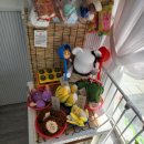 옥수수 펫샵 이미지