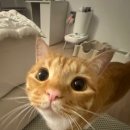 한이븐(주) 이미지