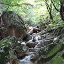 가는골1 이미지