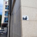 분당-317 이미지