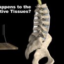 머슬앤모션 이미지