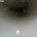 서초힐스아파트 앞 이미지
