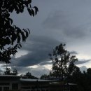 🌞 Green 🌿💚. 이미지