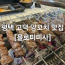 욜로미미사마라탕 | [평택고덕맛집] 고덕 양꼬치추천 욜로미미사 커플세트 제대로 먹고온 찐 후기