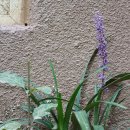 조국혁신당 성비위사건의 이상한 점 정리. 아직은 중립기어를 박아야되는 이유. 뭔가 요상하게 흘러간다... 이미지