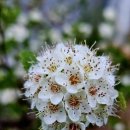 오만가지국수 이미지