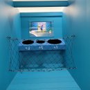 도산서원&예끼마을테마 이미지