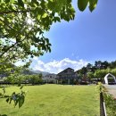 퍼피게스트하우스 이미지