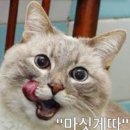 착한분식 이미지