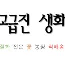 옥룡농장 이미지