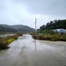 보매기길 이미지