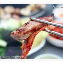 논현2동-11 이미지