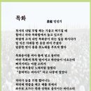 8월4째주 선정작(목화)--민인기 이미지