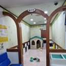 장진규소아청소년과의원 이미지