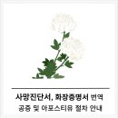 바모스 행정사합동사무소 이미지