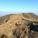 국립오서산자연휴양림 이미지