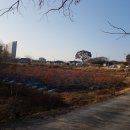 코아루부자공인중개사사무소 이미지