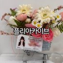 오엠아카이브 셀프사진관 플리아카이브