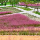 신소양체육공원 이미지