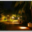 야자수당구장 이미지