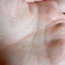 헤어터치 이미지