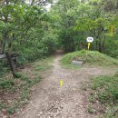 하사촌1 이미지