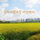 에스에스엠아이