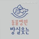 방실웃는 동물병원 | 수원동물병원 수원동물병원 방실웃는 진료 항목별 확인 포인트 정리