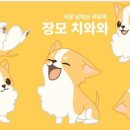 헬로펫 이미지