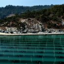 장흥목장 이미지