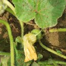 장신농장 이미지