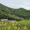 [남해여행] 남해당일치기 남해가볼만한곳 천국 같은 "파라다랑스" 방문 후기